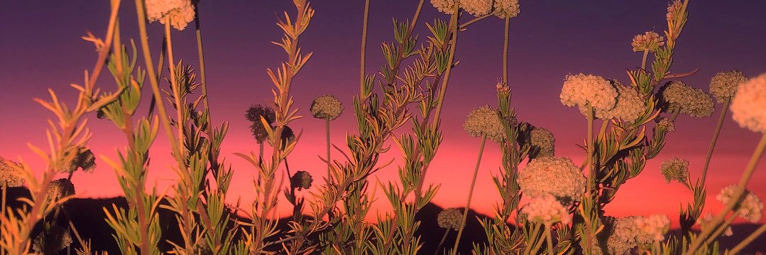 breadcrumbbs's profile banner image