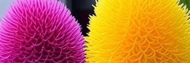 beyazsayfa95's profile banner image