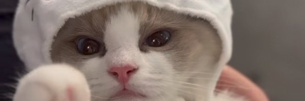 bubekichi Profile Banner