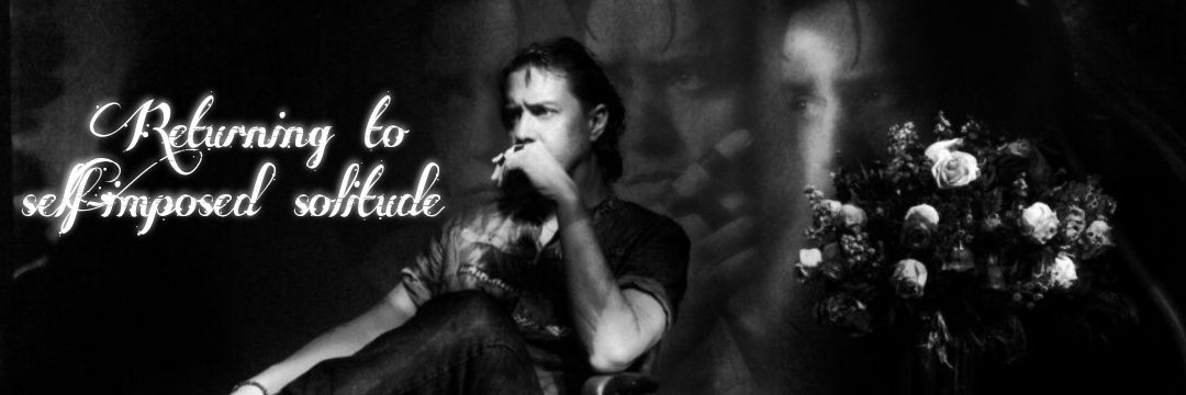 Julian Casablancas FR's banner