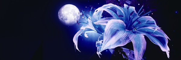 tilli_gilli Profile Banner