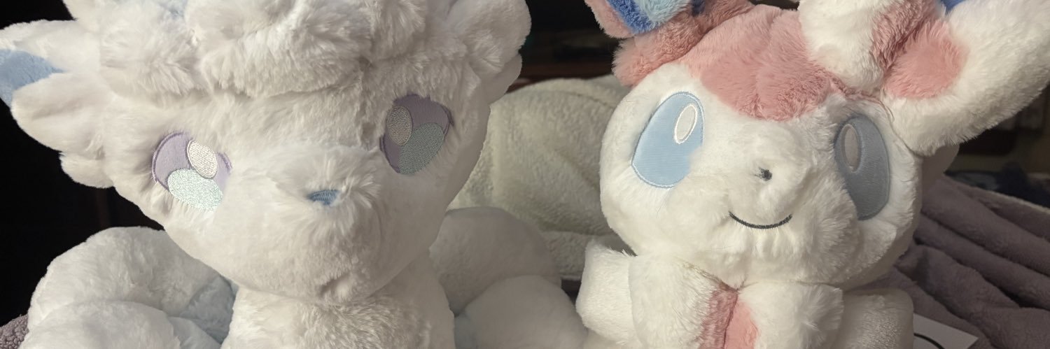 NommisNook🎀 banner