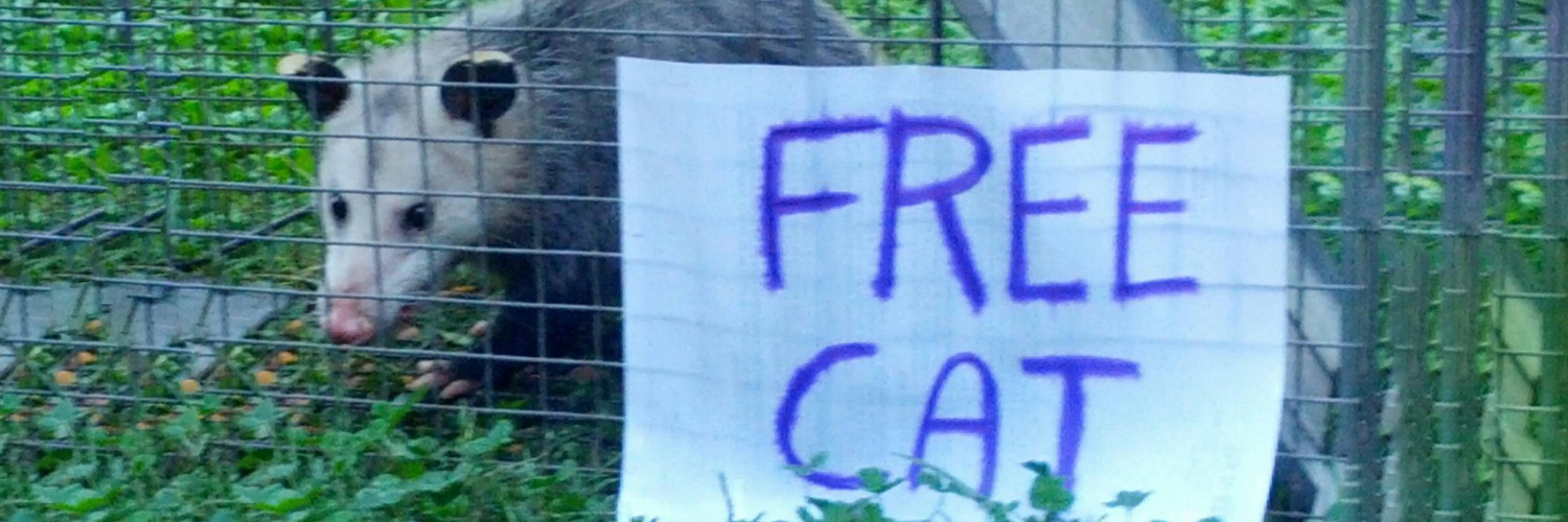 Conecat the Reluctant Reveler banner