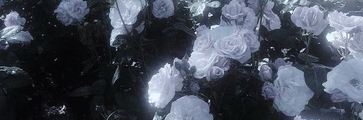 是永珪弥 banner