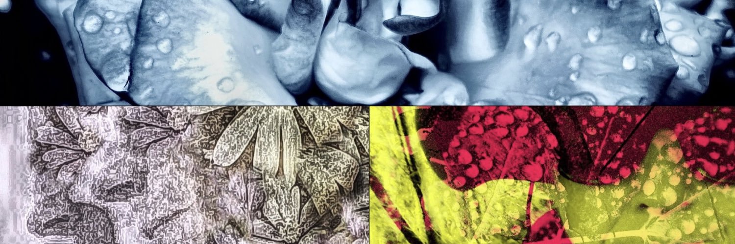 susan’s self & earth loving art angrygoddess.tez banner