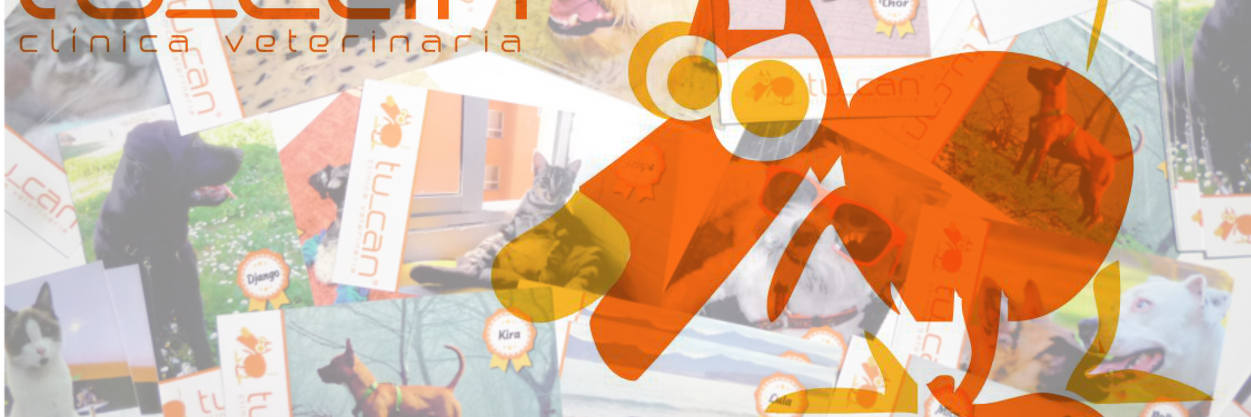 TuCan_vet's profile banner image