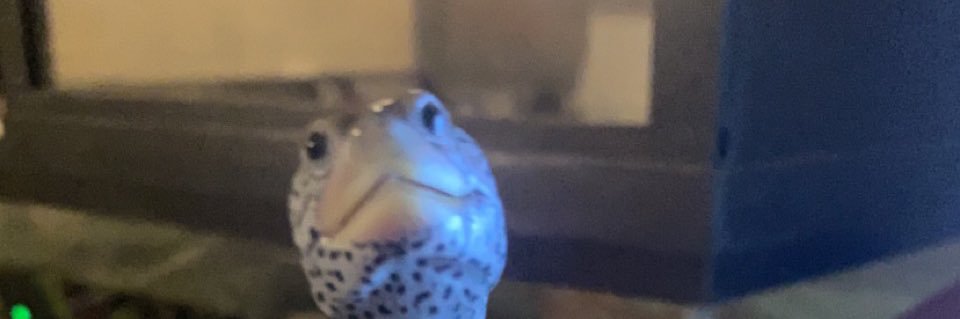 kelseystephenss's profile banner image