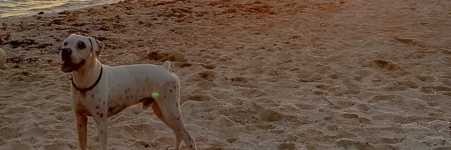 axeltuz's profile banner image