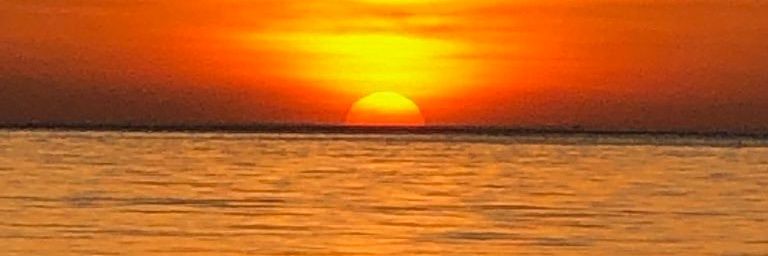 sundownbrew's profile banner image