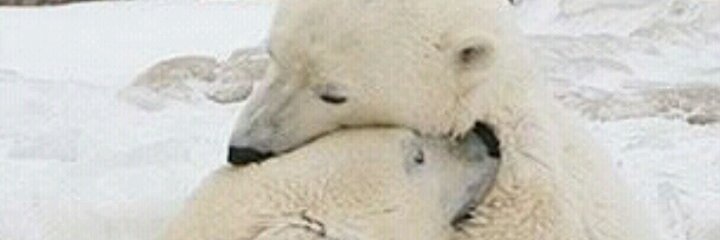 Kuks022's profile banner image
