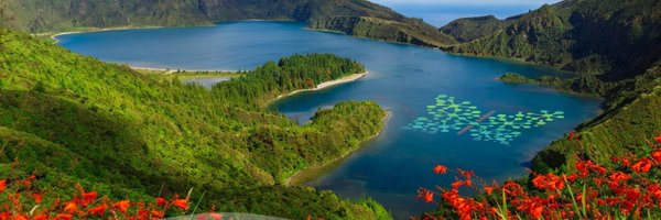 AIM_SCI Profile Banner