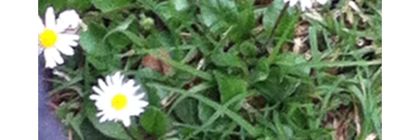 WaR5Blerette's profile banner image