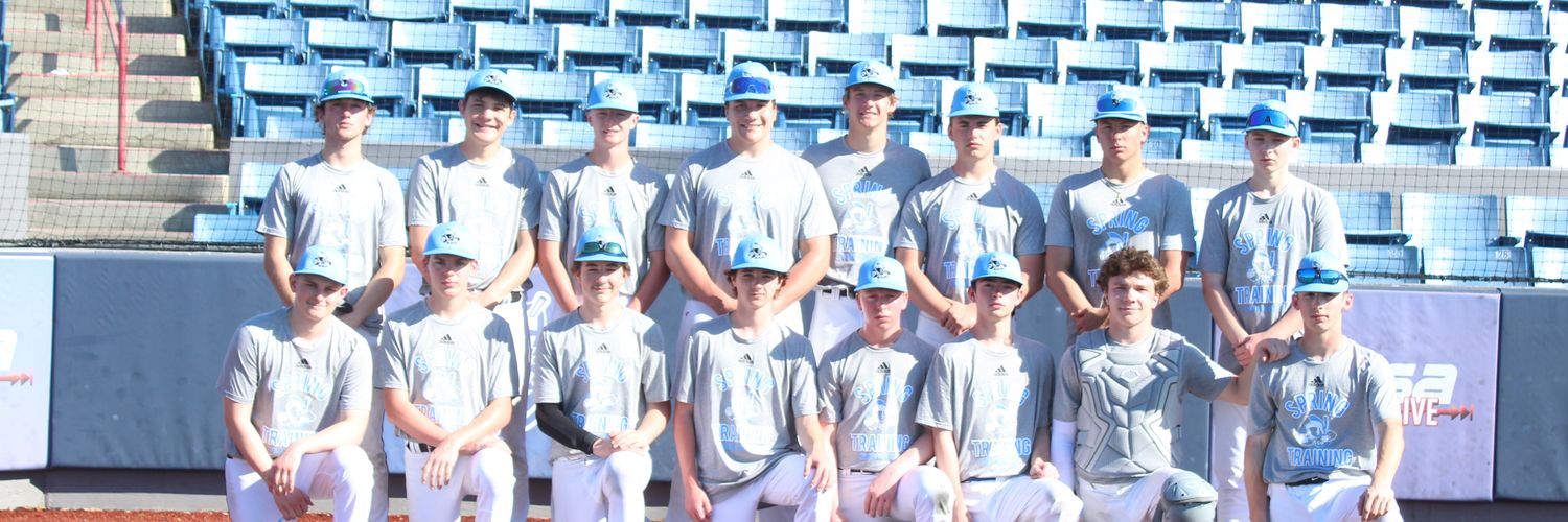 TCU Titans Baseball banner