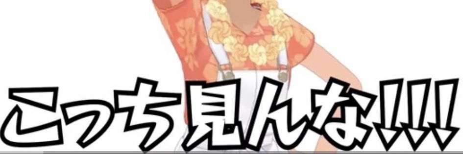 にゃん🐖九州帰省大作戦ねりねり中 banner