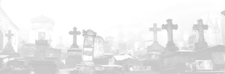 MeowSplit's profile banner image