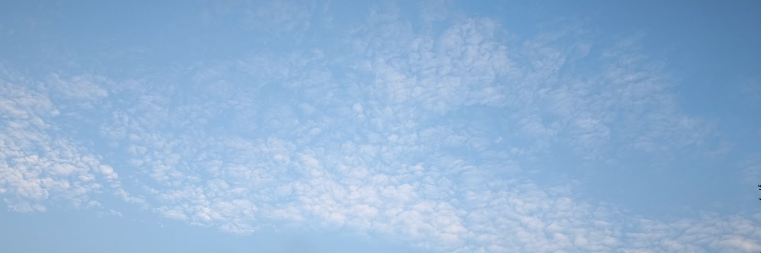 hachimitsu3639's profile banner image