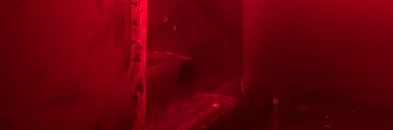 onlypaluchi's profile banner image