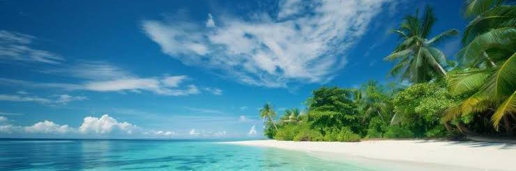 共同親権リポスト banner