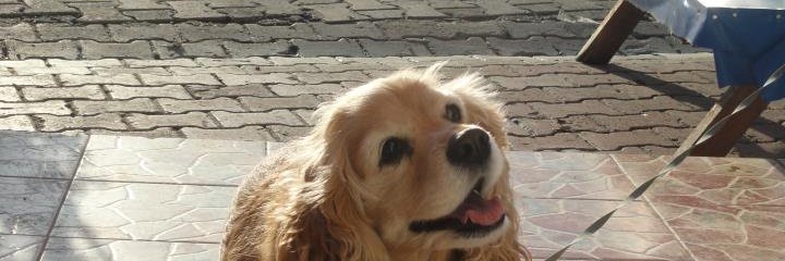 Mustafa74604902's profile banner image