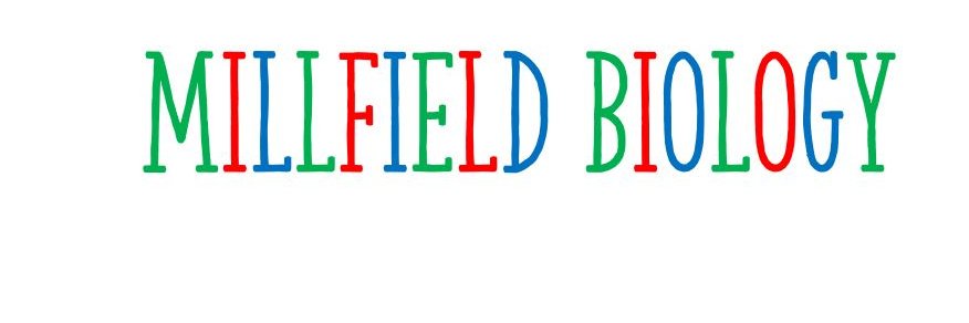 MillfieldBio's profile banner image