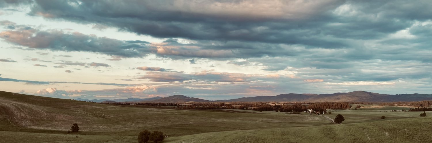 Bruce Johnson banner