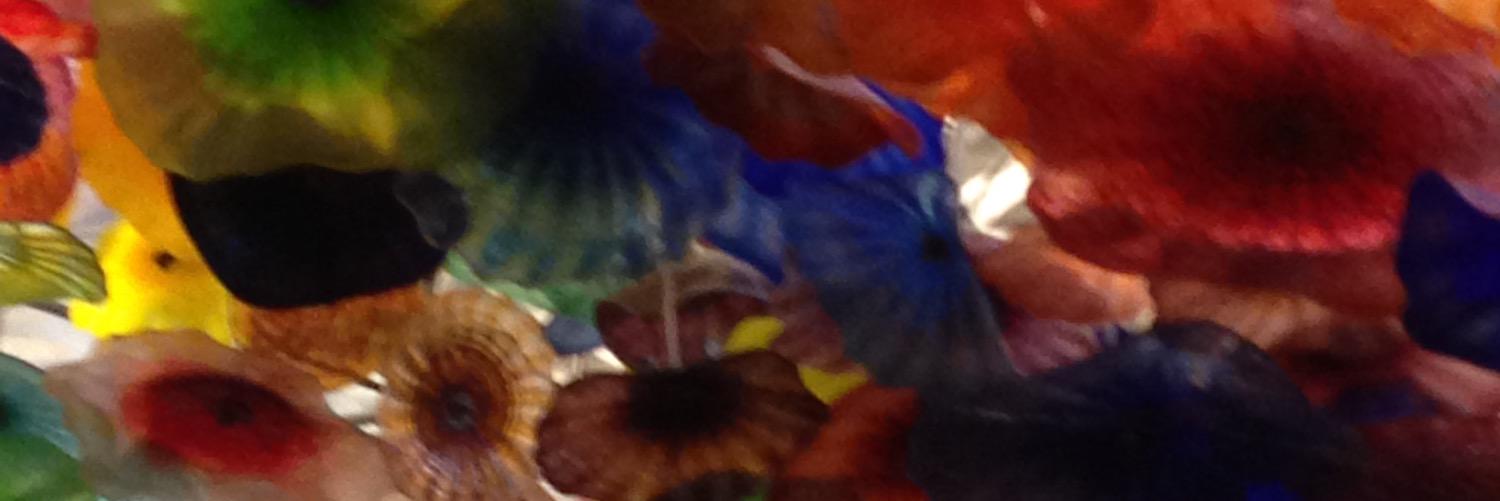 amy_callihan's profile banner image