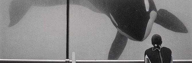 kassfly42's profile banner image