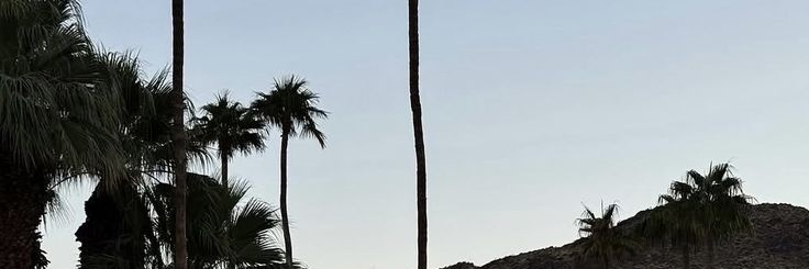 jo banner