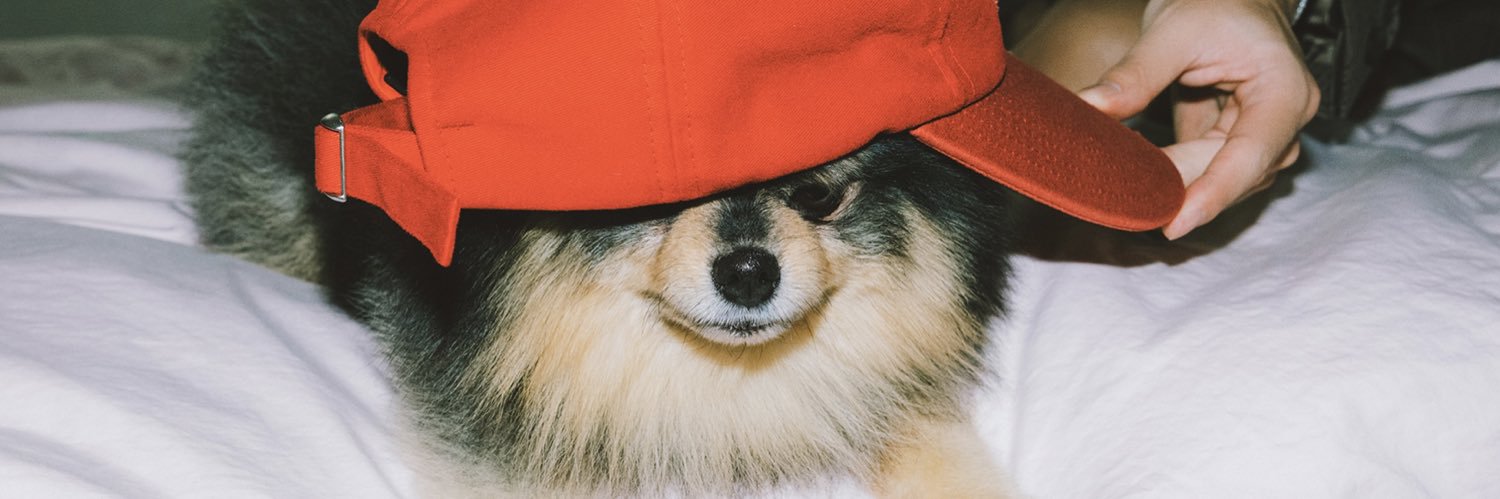 kyobaeeeeeee's profile banner image