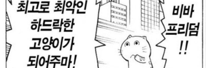 이빨만세🦷's banner