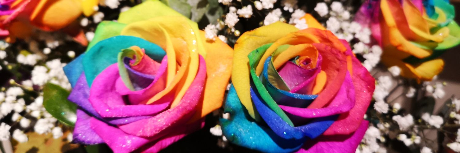 Siobhan_Inglis's profile banner image