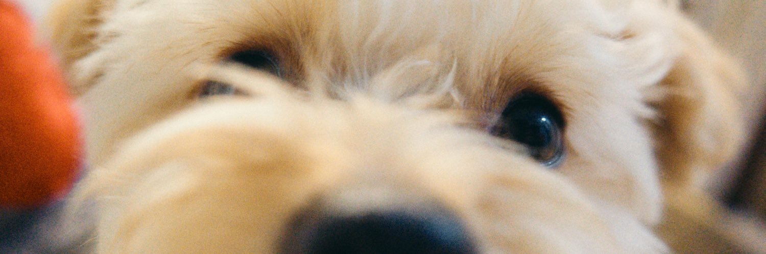 kjmk_07's profile banner image