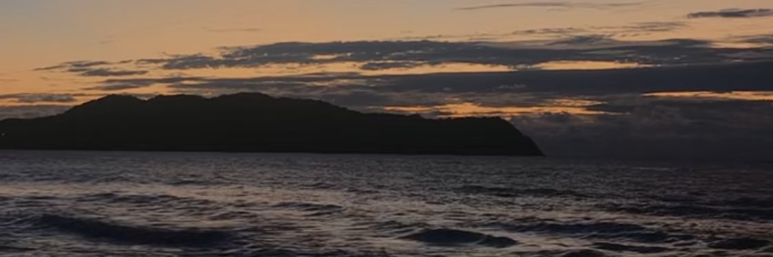w banner