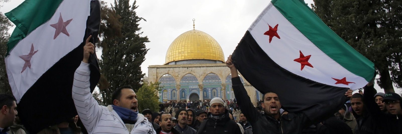 محمد أبو أُسيد banner
