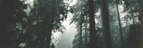 m00r4to_'s profile banner image