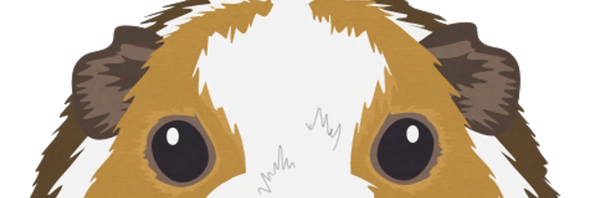 cooldudecraig's profile banner image