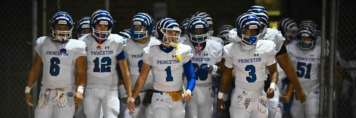 Princeton Tigers Football's banner