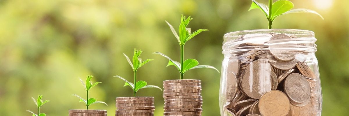 Anónimo Liberal banner