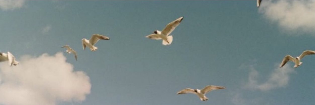 MR710_'s profile banner image