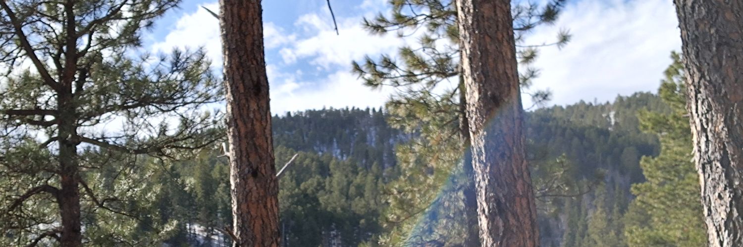 ScrimpingMemory's profile banner image