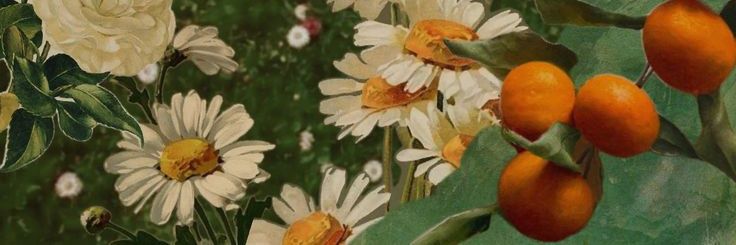 ♡livia On Fire #1 Rush enthusiast banner