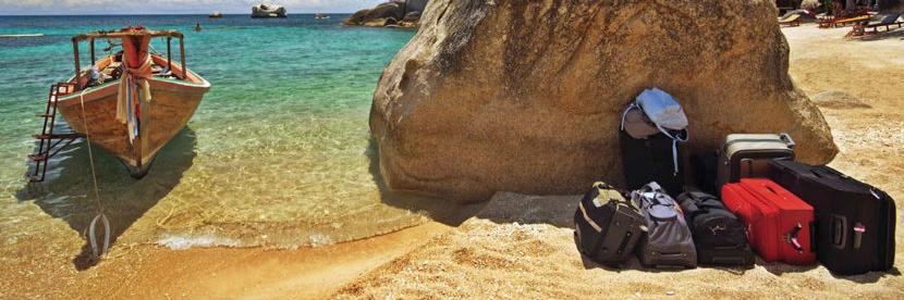 First Luggage banner