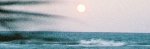 dashingdaniel's profile banner image