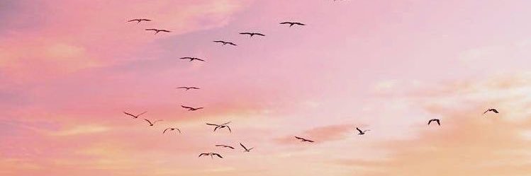 joythereseabapo's profile banner image