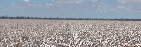 nigelcorish Profile Banner