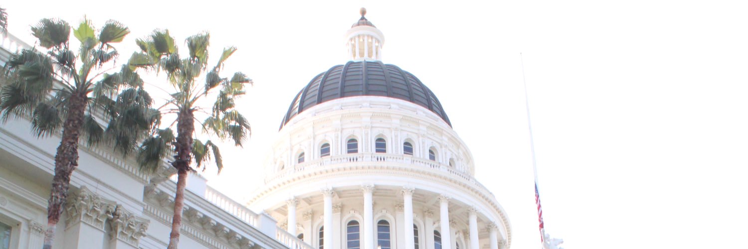 Informed Policy Advocates banner