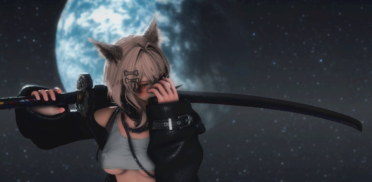 龙猫 banner