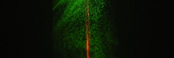 BioPhotonicsUni Profile Banner