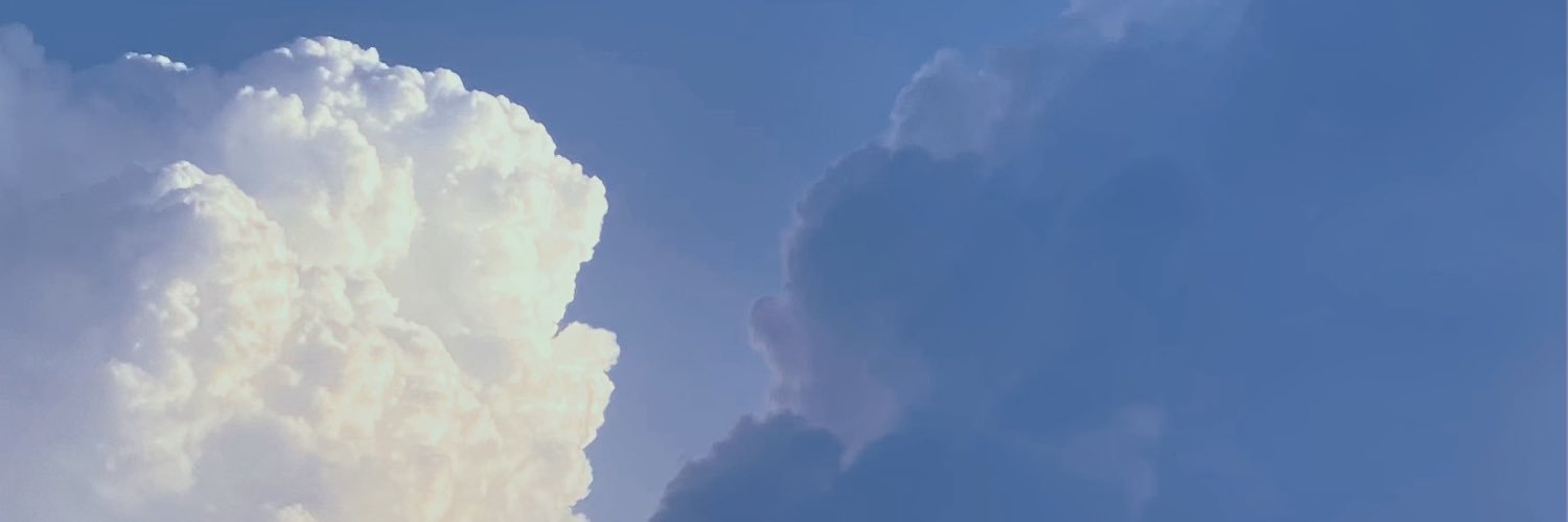 tomii banner