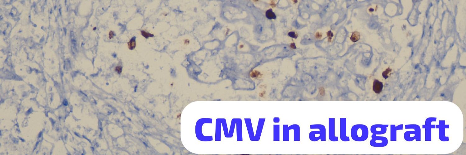 Renal Path Labs's banner